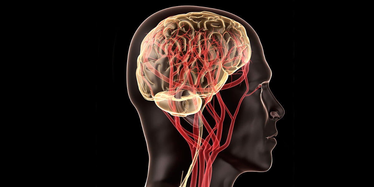 CBS SF Bay Area KPIX: Scientists Create ‘Prosthetic Memories’ In Groundbreaking Brain Research