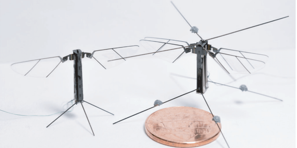 A tiny four-winged robotic insect flies more like the real thing