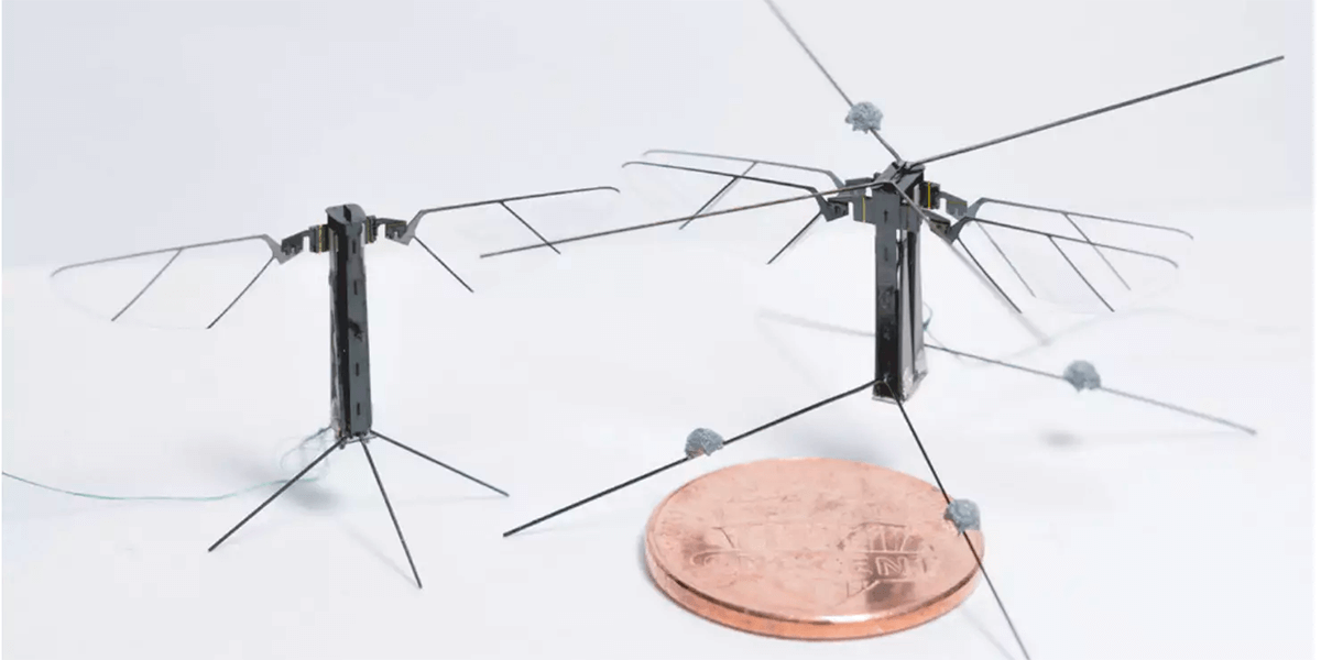 Bee+ micro-scale robot flyer gets four wings flapping