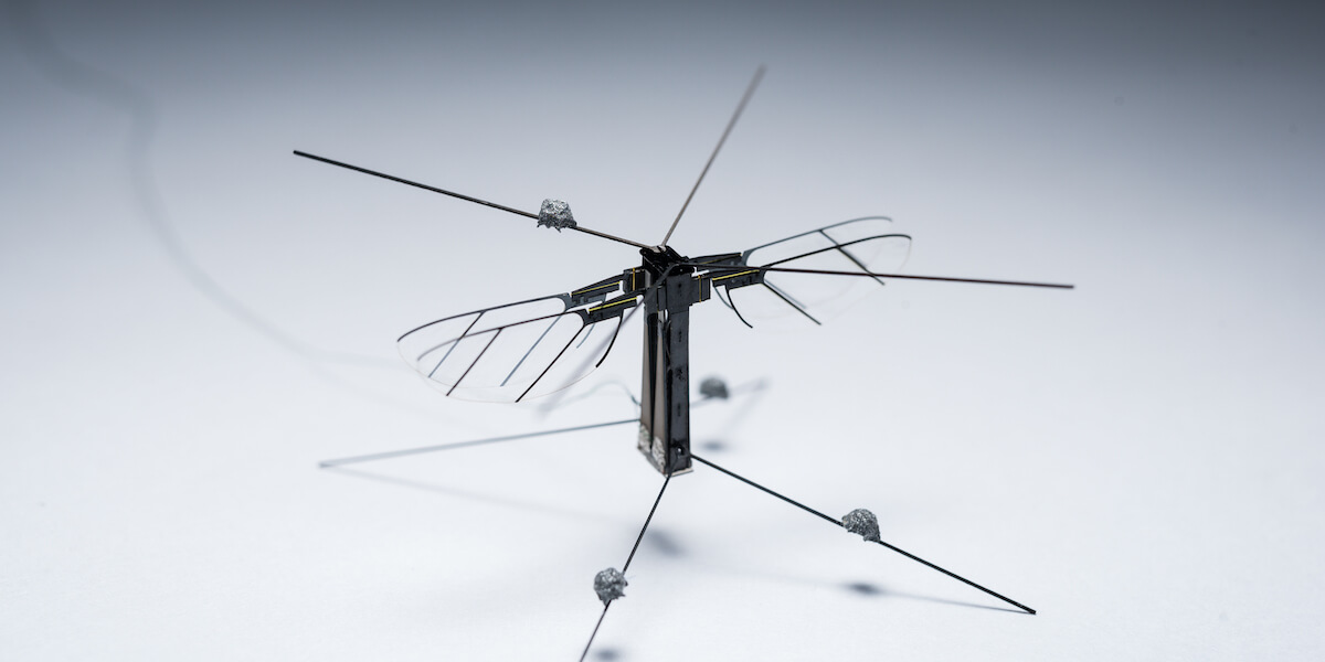 Bee+, a 95 mg four-winged robotic insect prototype designed by the Autonomous Microrobotic Systems Laboratory. PHOTO/Nestor Pérez-Arancibia.