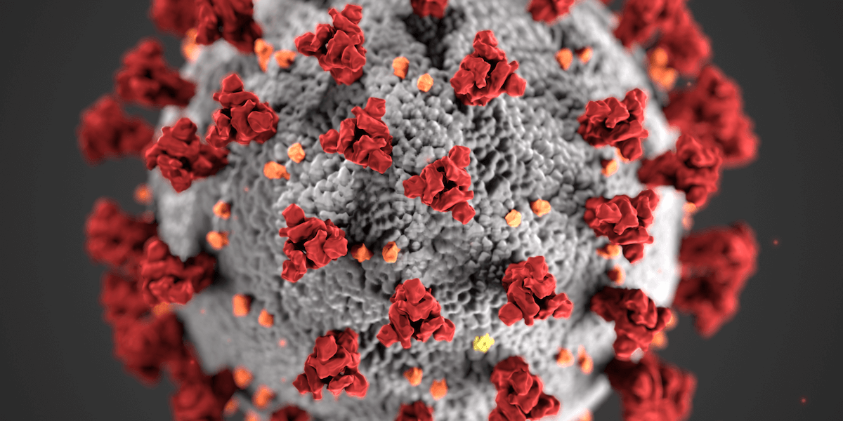 Featured image for “Research Team in Race to Develop COVID-19 Vaccine and Treatments”