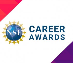 NSF_career
