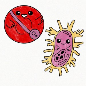 A Little Cell Biology
