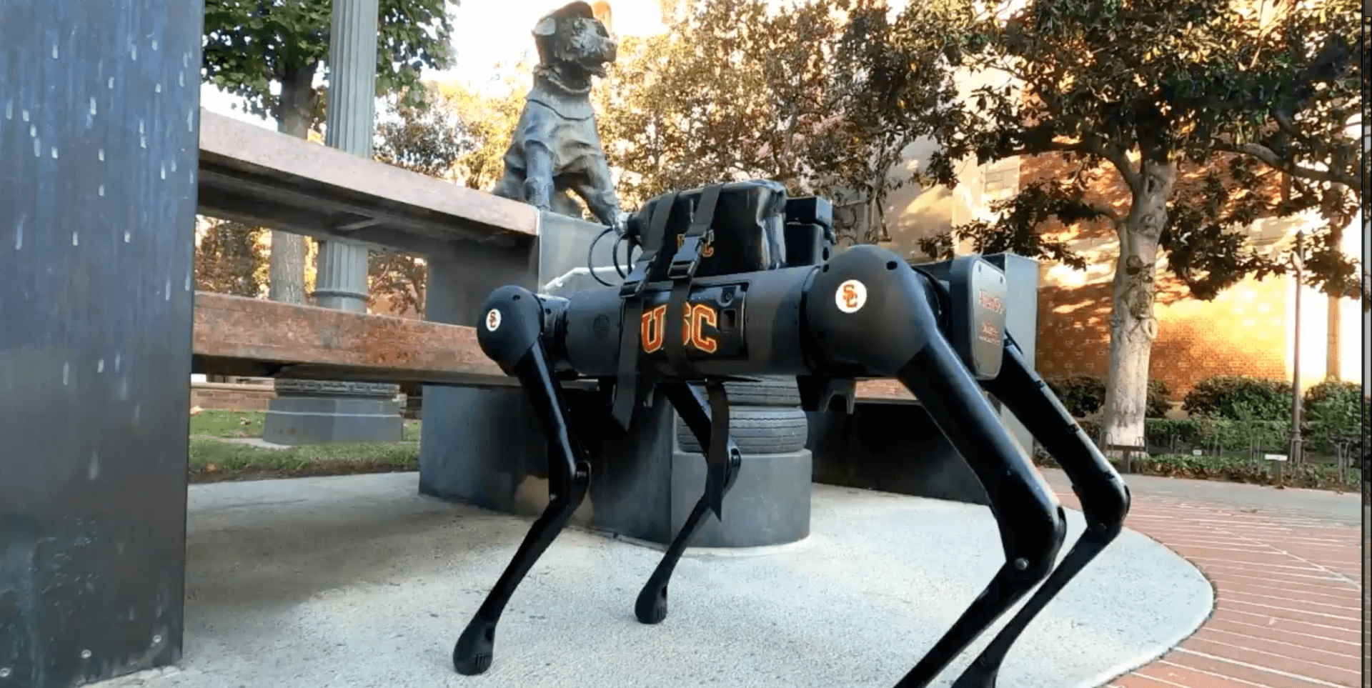 Quadruped Robots to Disinfect