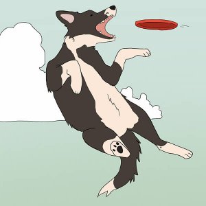 Despite advances in natural language processing, state-of-the-art systems still generate sentences like "Two dogs are throwing frisbees at each other.” Illustration/Adriana Sanchez.