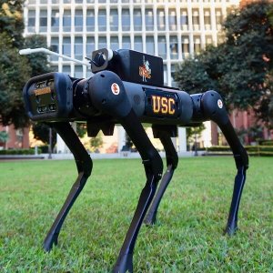 Meet LASER-D, an animal-like robot that can crawl, crouch and disinfect to fight COVID-19. PHOTO/ QUAN NGUYEN.