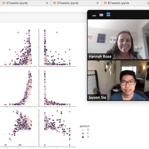 Undergraduate Hannah Rose and her Ph.D. advisor, Jayson Sia, meet via Zoom to discuss latest research findings.