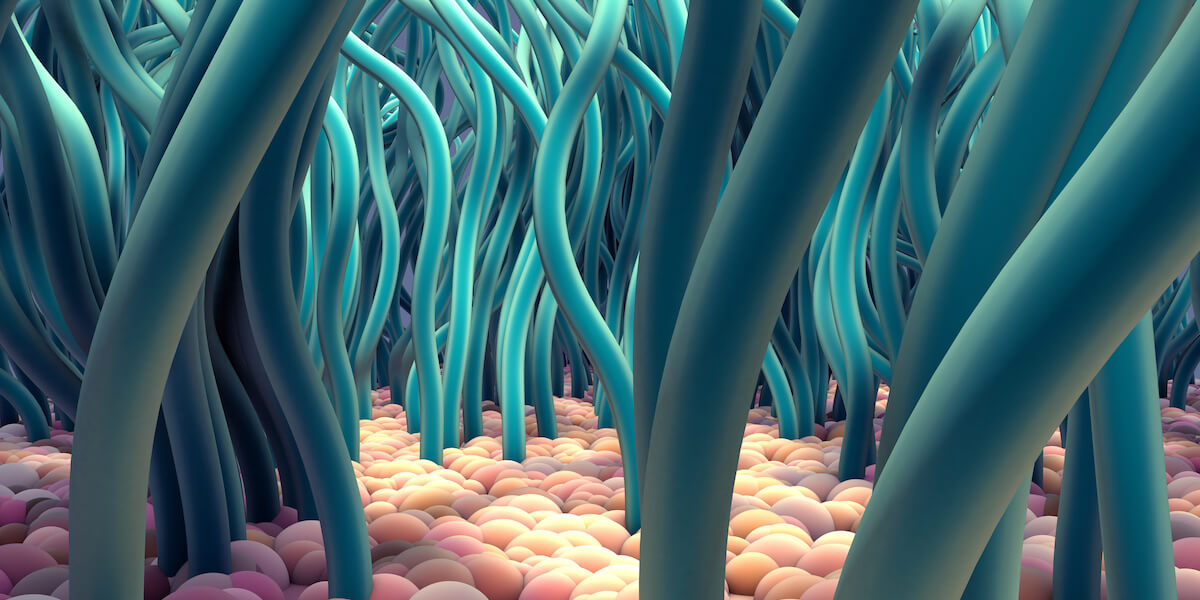 Featured image for “Could Mapping Tiny Hairlike Structures Help Treat Lung Illnesses?”