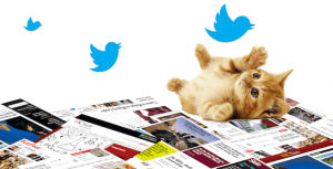 graphic of a cat playing with Twitter bird logos