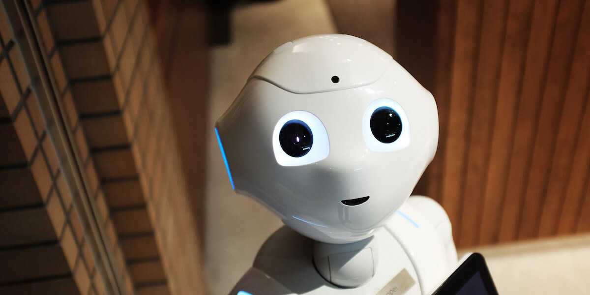 Our Future Robot Companions