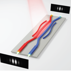 As a result of the non-trivial topological structure through which the laser light has to pass, exactly opposite interference patterns emerge at the two ends of the laser. (PHOTO CREDIT: USC Viterbi)