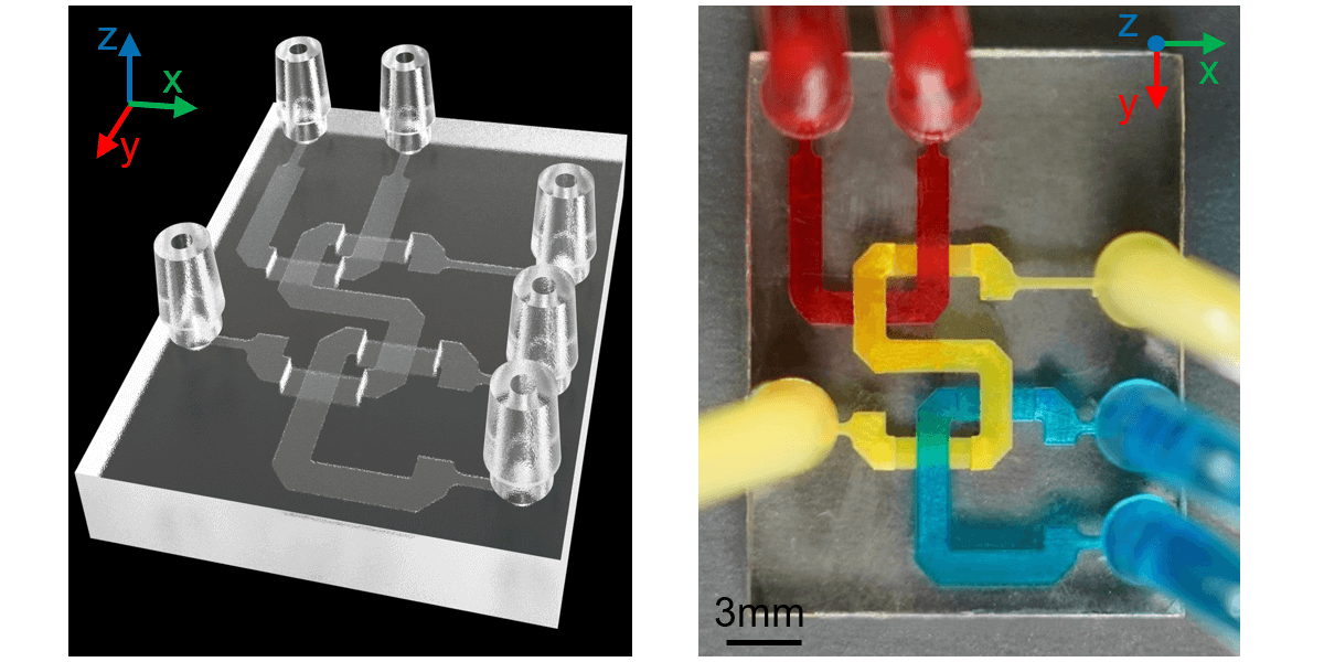 An example of a microfluidic chip created by the research team. Image/Yang Xu