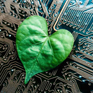 A heart-shaped green leaf on a computer circuit board