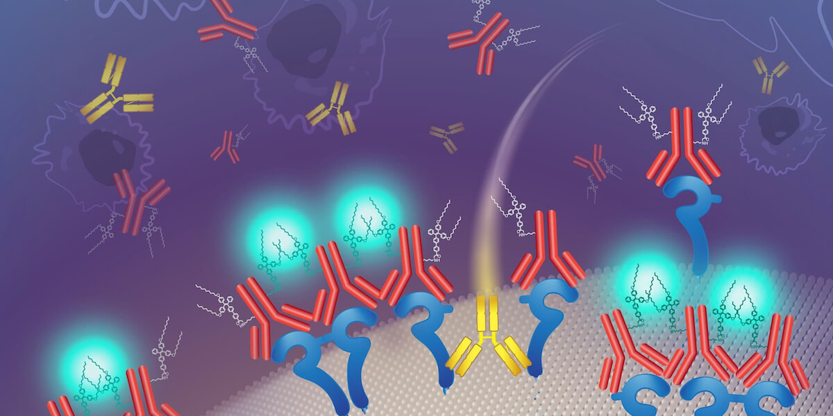 A conceptual drawing of a new fluorescent probe that illuminates protein clusters found in a subset of breast cancers (Illustration/Katya Kadyshevskaya)