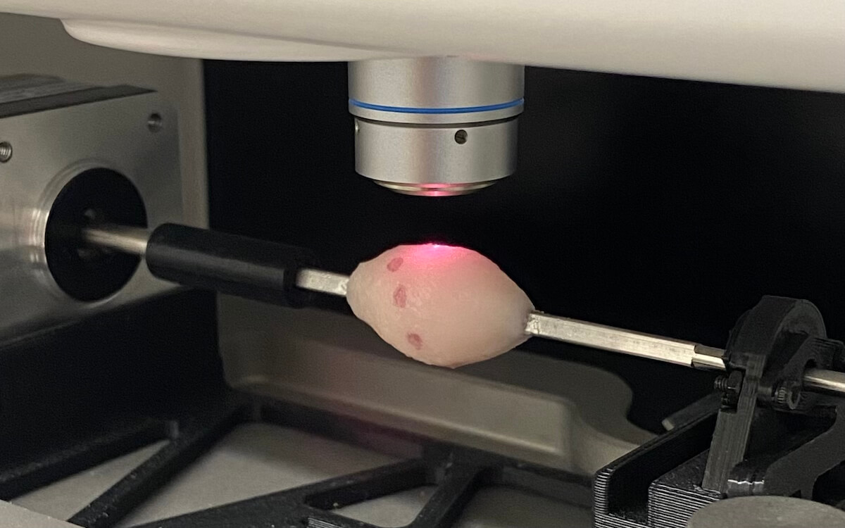 The Zavaleta Lab's Raman Rotisserie device creates a topographical map of the surface of a resected tumor to aid surgeons in the operating room. Image/Alex Czaja