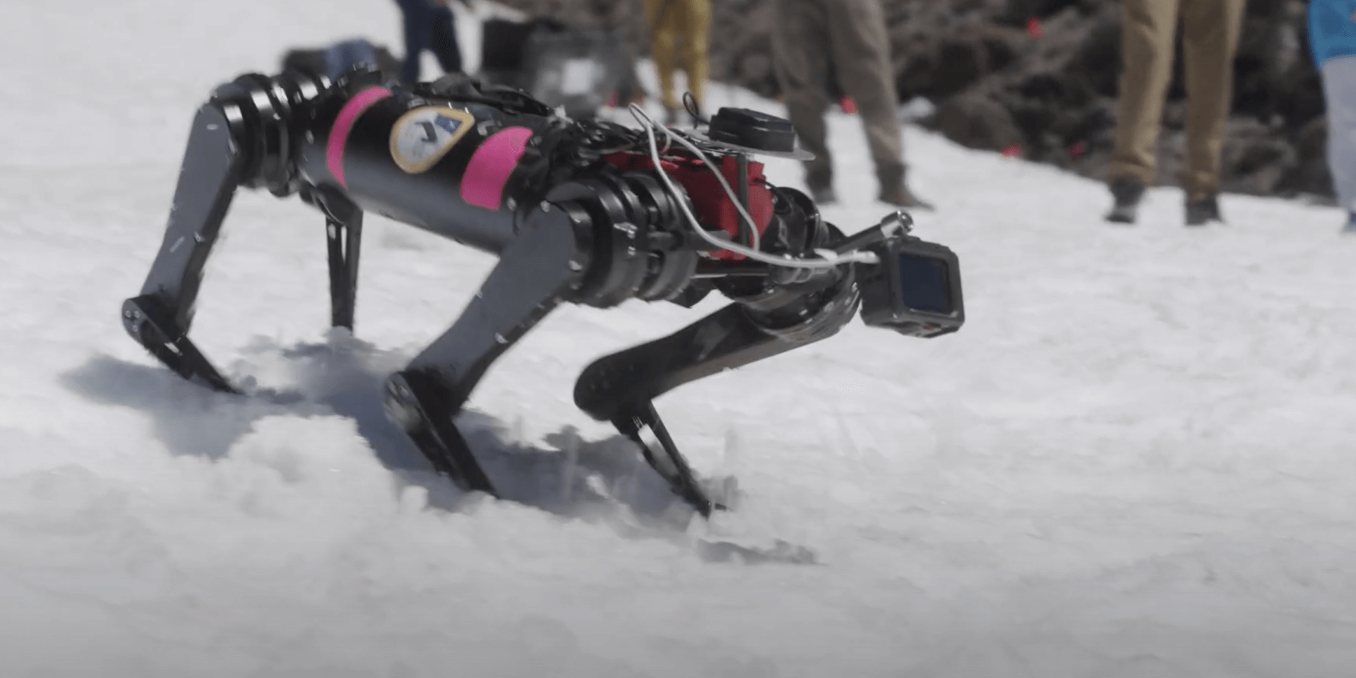 A robot dog is training on Earth to be able to go to space one day