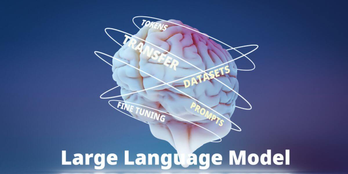 Image of a brain with the title Large Language Model and a swirl of other words surrounding it. These words include finetuning, datasets, transfer, token and prompts.
