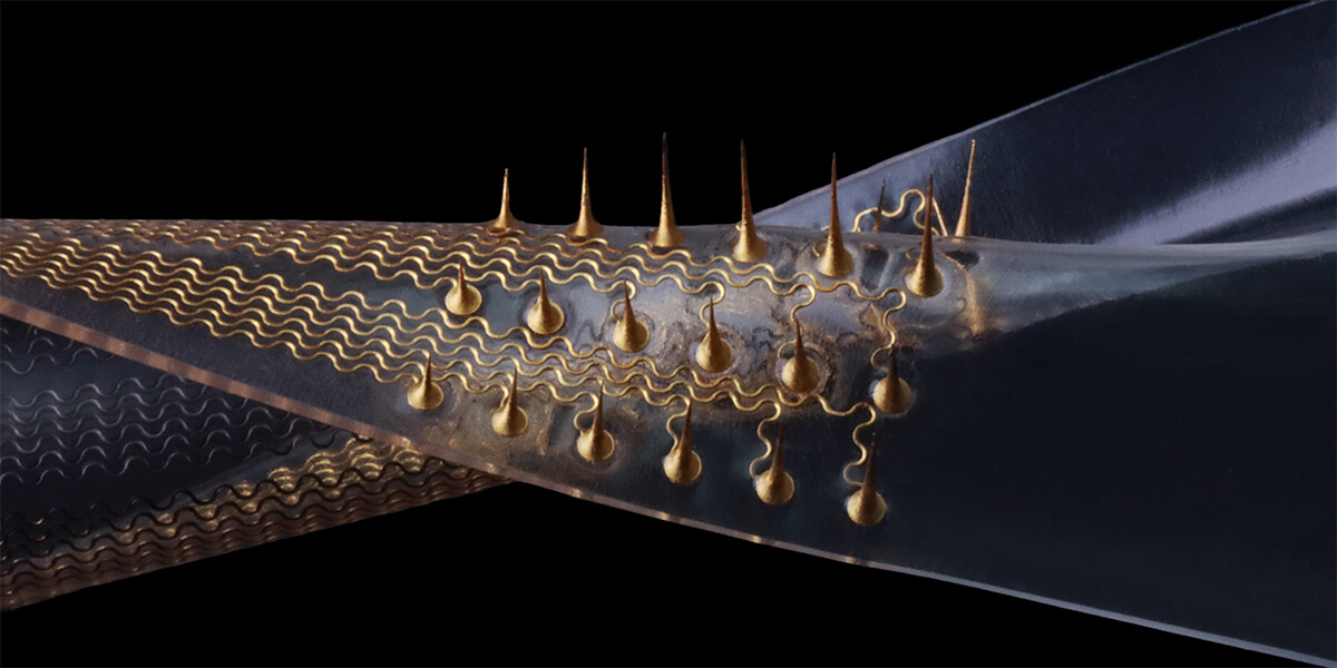 Stretchable microneedle electrode arrays (Photo / Zhao Research Group)