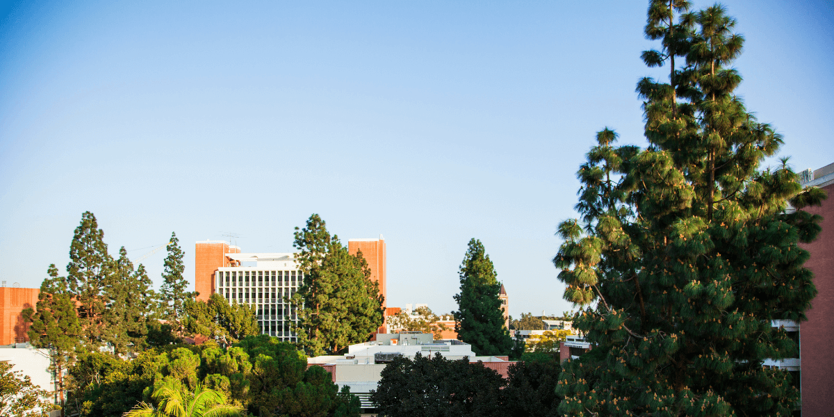 A school building partially obscured by trees against a bright blue sky