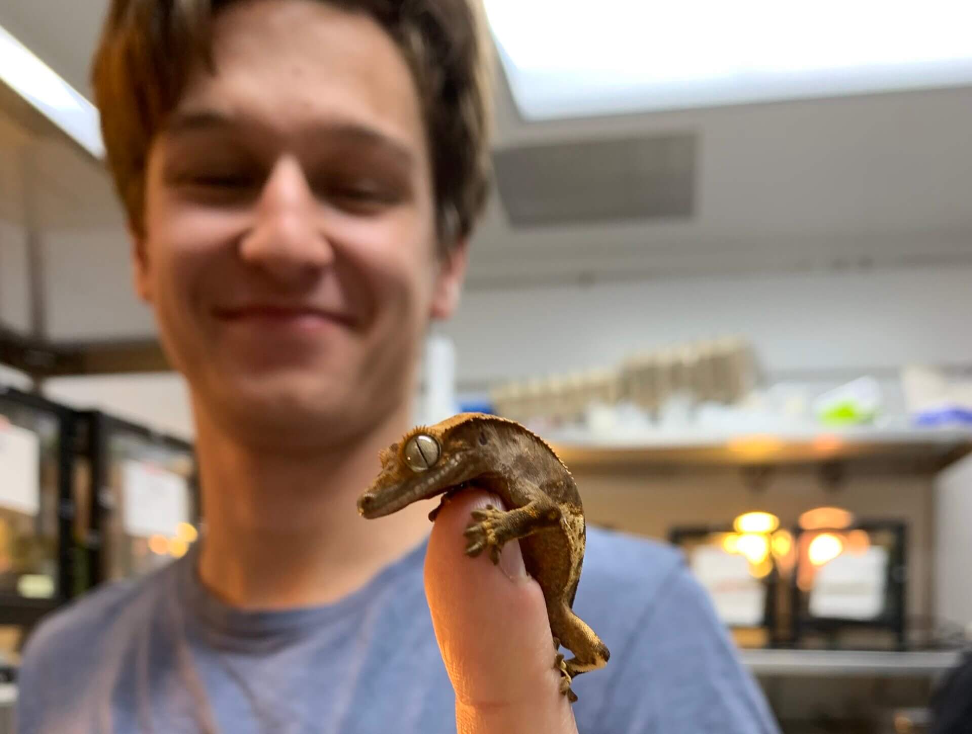Class of 2025 BME graduate Alex Kuncz has been studying lizard tail regeneration to improve treatments for injuries. Image/Alex Kuncz