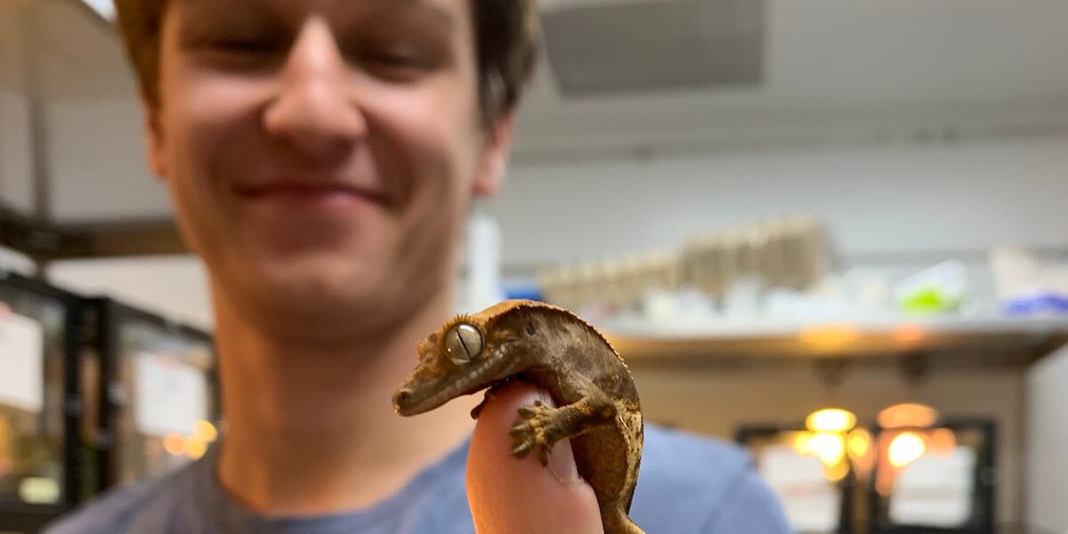 Class of 2025 BME graduate Alex Kuncz has been studying lizard tail regeneration to improve treatments for injuries. Image/Alex Kuncz