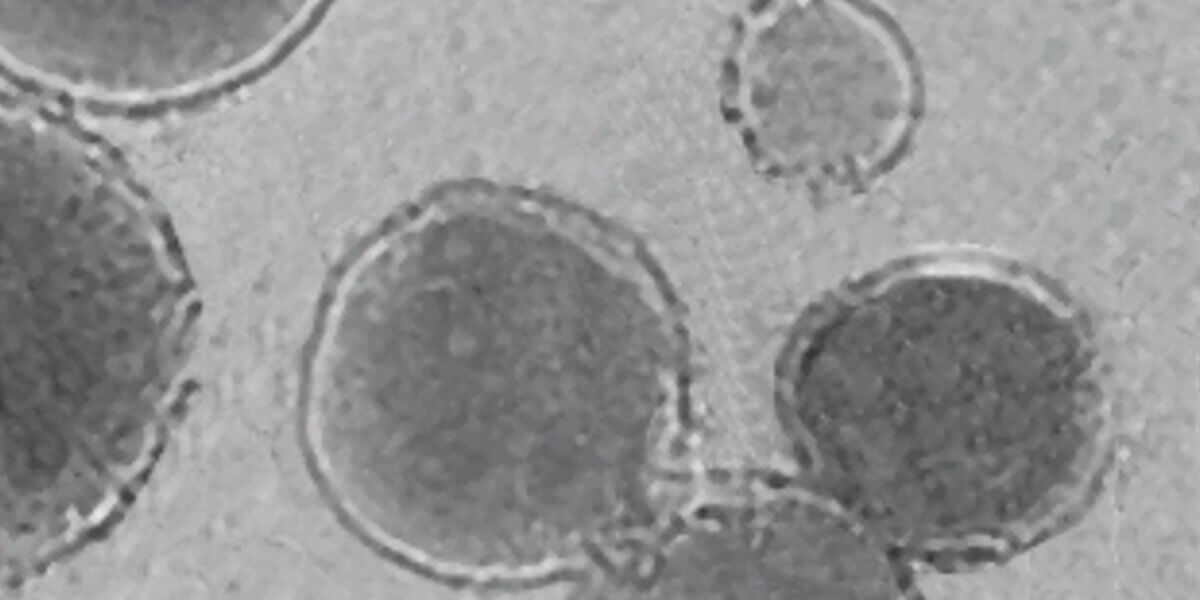 USC Biomedical Ultrasound Lab Collaborates with Caltech on 3D Printing In Vivo Using Sound