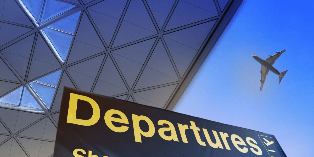 Researchers Uncover Hidden Airport Hotspots in Global Wildlife Trafficking Using AI