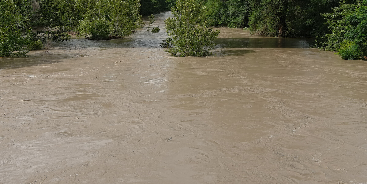 Flooding of a the Guadelupe River in Texas showing Trees being surrounded by flood waters