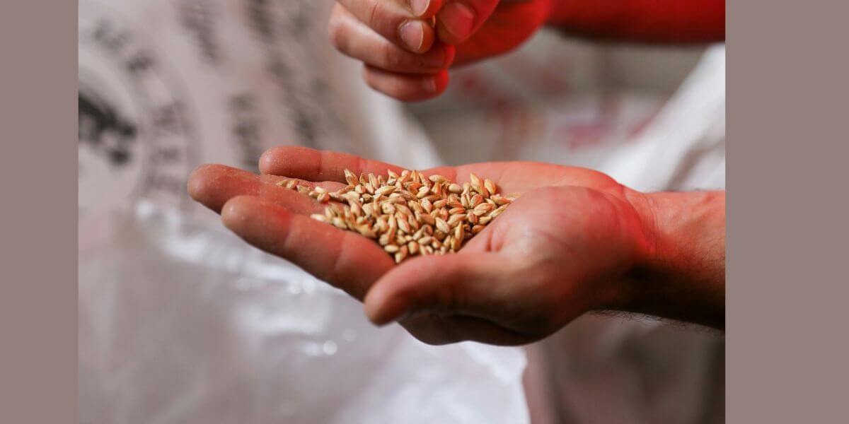 Engineers Create Eco-Friendly Solid Lubricant to Replace Toxic Farming Materials