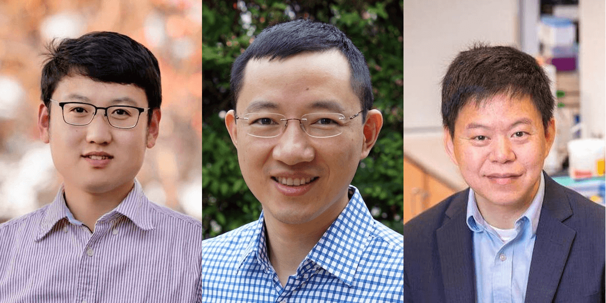 Biomedical Engineering Research into Brain Tumors and Leukemia Awarded NEMO Prizes